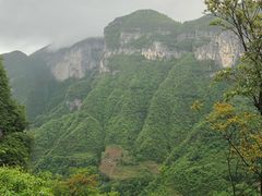 -鹿院坪生态旅游景区