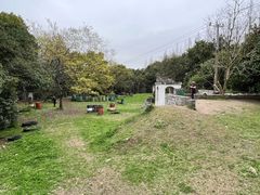 -上海滨江森林公园