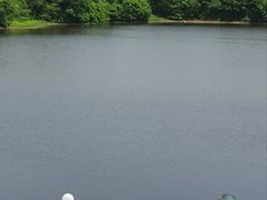 -盘龙城国家考古遗址公园