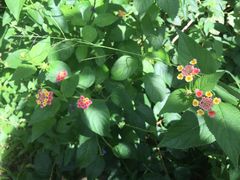 -龙坑生态保护区