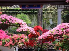 -惠山古镇·寄畅园