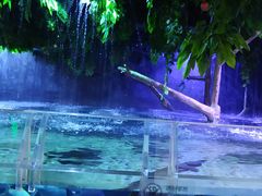 -成都浩海立方海洋公园