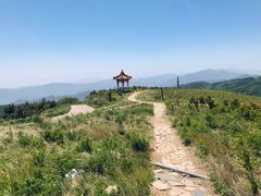 -阳台山自然风景区