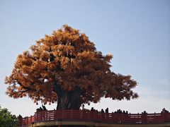 -中华郡文化旅游景区