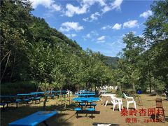 西安户外自助烧烤-山水农家乐