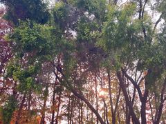 -厦门园林博览苑
