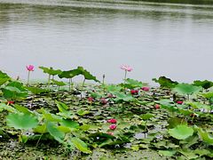 -素心小筑(后沙裕镇店)