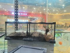 -凯德广场(学府店)