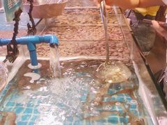 -领鲜活海鲜榴莲自助火锅(东门店)