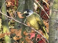 -石家庄市动物园