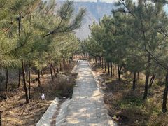 -渭南桃花源民俗文化园