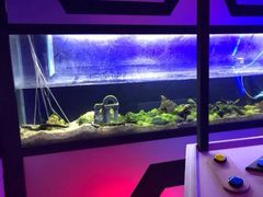 -MOJO密室逃脱(中街旗舰店)