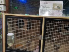 -上海大自然野生昆虫馆(东方明珠·爬宠昆虫探索中心)