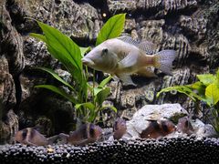 -上海海洋水族馆