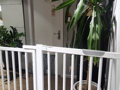 -东方名猫馆·英短金渐层布偶猫舍(环线广场1号楼店)