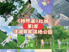 -洋湖国家湿地公园