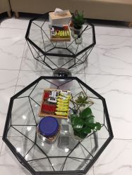 -三只熊皮肤管理中心