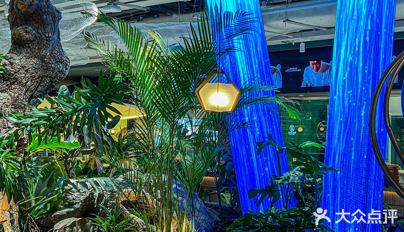 满是胶原蛋白的椰子鸡，这汤也太好喝了吧！