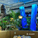 满是胶原蛋白的椰子鸡，这汤也太好喝了吧！