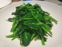 清炒豌豆尖-望京辣宴·古法川菜(望京店)