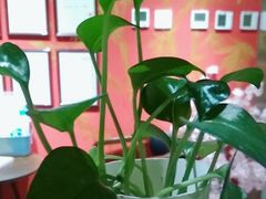 -学习谷日语培训日本留学·多语种外语教学(海淀人大分部)