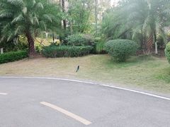 -西昌邛海湾柏樾酒店(原邛海湾柏栎度假酒店)