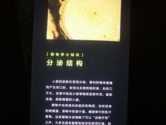 -广东省博物馆