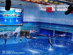 -多彩贵州城极地海洋世界