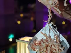-CLUB VIVA(购物公园店)