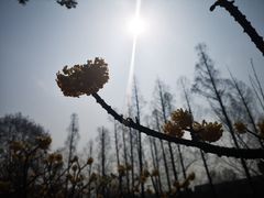 -中南财经政法大学(首义校区)