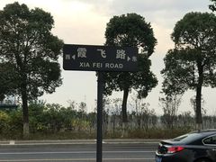 景点-滆湖低碳生态公园
