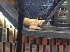 -Draft Beer Restaurant & Bar