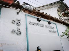 -喵屿·大理花园猫咖