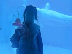 -海合安成都极地海洋公园