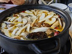 -蘑统田下·野生菌火锅