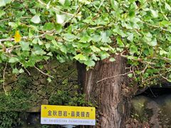 -大慈岩风景区