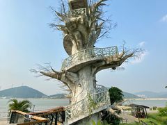 -芒洲湿地公园