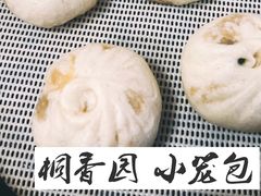 -桐香园小笼包(百井坊巷店)