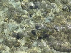 -王权免税店(普吉市区店)