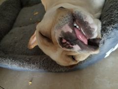 -么哈MOJAR(厦门云城万科里店)