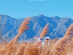 -野鸭湖国家湿地公园