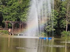 -大湾区中央湿地公园