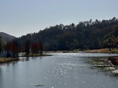 -千年银杏谷文化旅游区