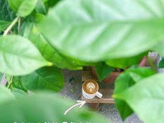 -Beans Solo豆号咖啡(百家湖花园店)