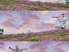 -白鹭湾湿地公园