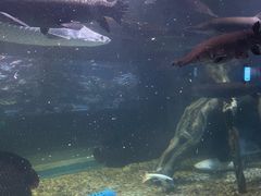 -苏州海洋馆