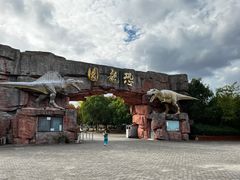 -上海海湾国家森林公园