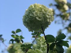 -苏州上方山国家森林公园
