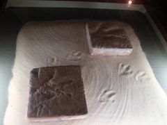 -世界恐龙谷景区