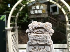 -九曲溪竹筏码头